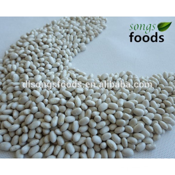 Supply Chinese White Beans, Navy Type